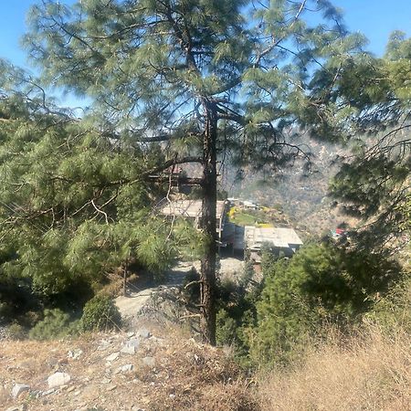 Aditya Homestay Dalhousie Exterior foto