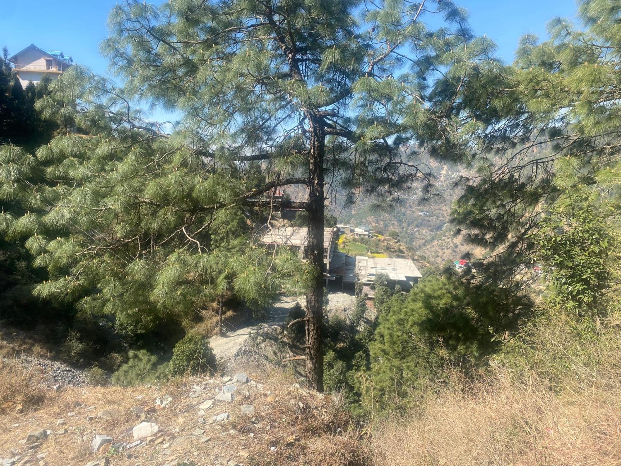 Aditya Homestay Dalhousie Exterior foto