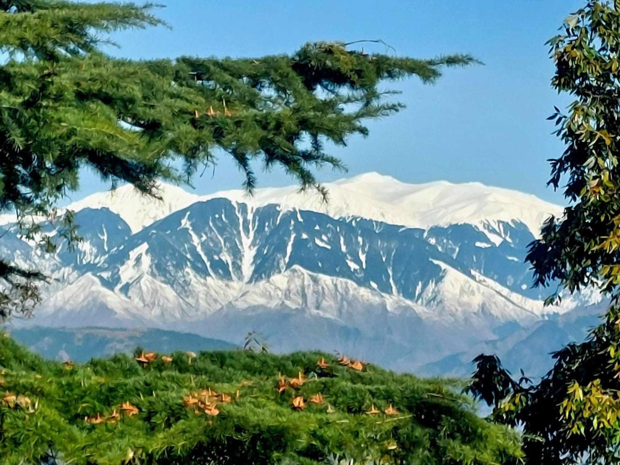 Aditya Homestay Dalhousie Exterior foto